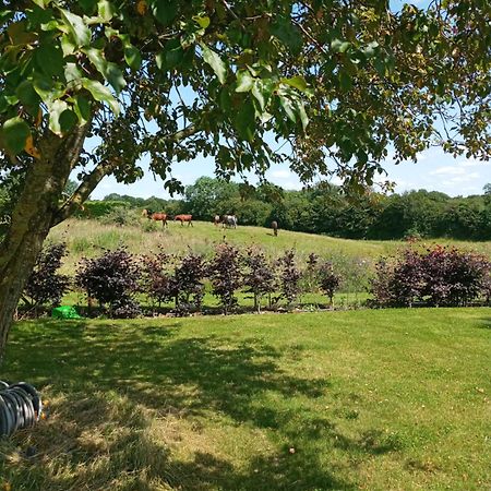شقة Suzies Self Catering Belmont Belmont  الغرفة الصورة